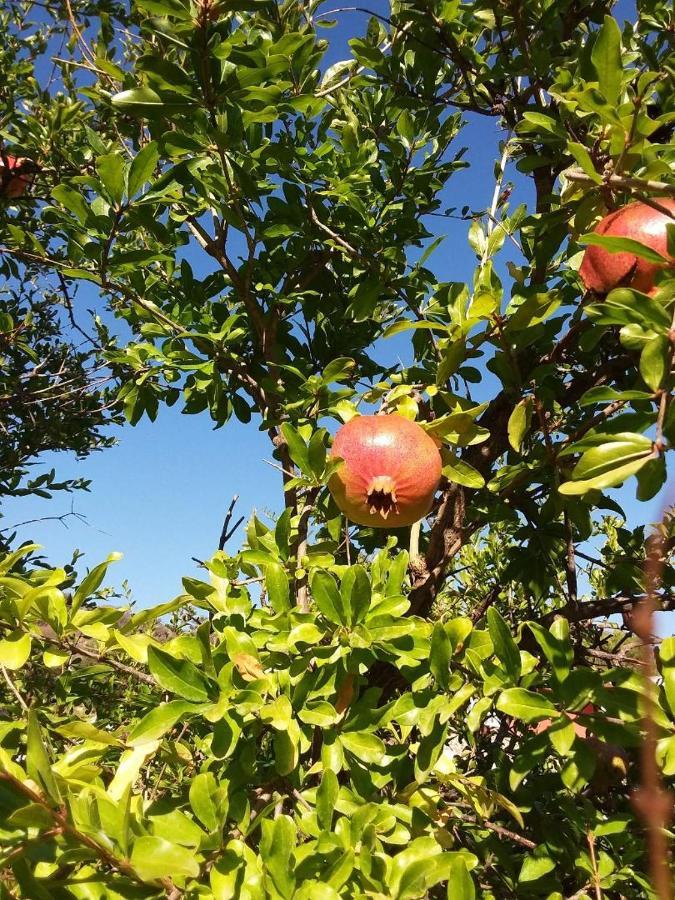 B&B Il Melograno Capoterra Buitenkant foto